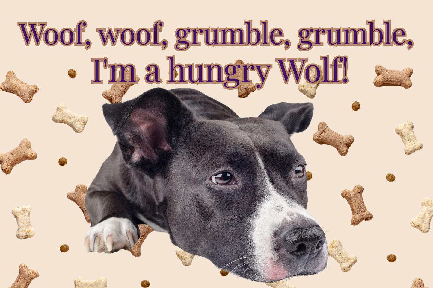 Funny Dog  Face Food Placemat - Food Mat to Keep Floors Clean, & Dog Choices, So FUN