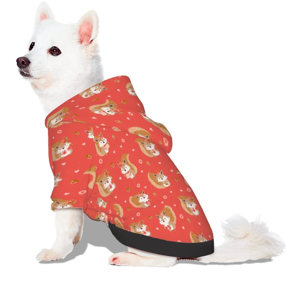 Pretty Girl Squirrel Sweater, Small Dog Hoodie Pet Clothes, Fashionable Dog Clothes to wear to the Shop or the Dog Park, Fathers day gift