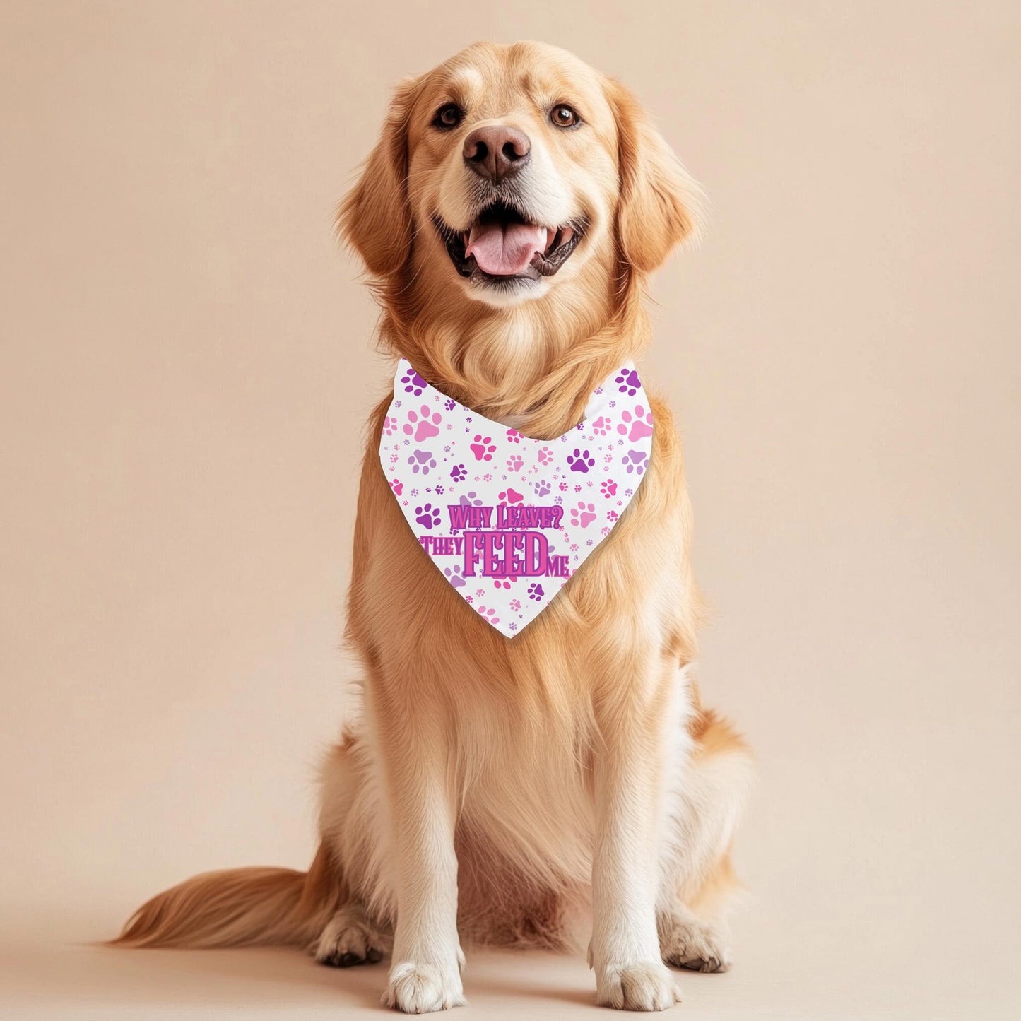 Delightful Dog Fashionista Bandana - Wearable Whimsy for Your Pooch, Still Live with Parents, why leave