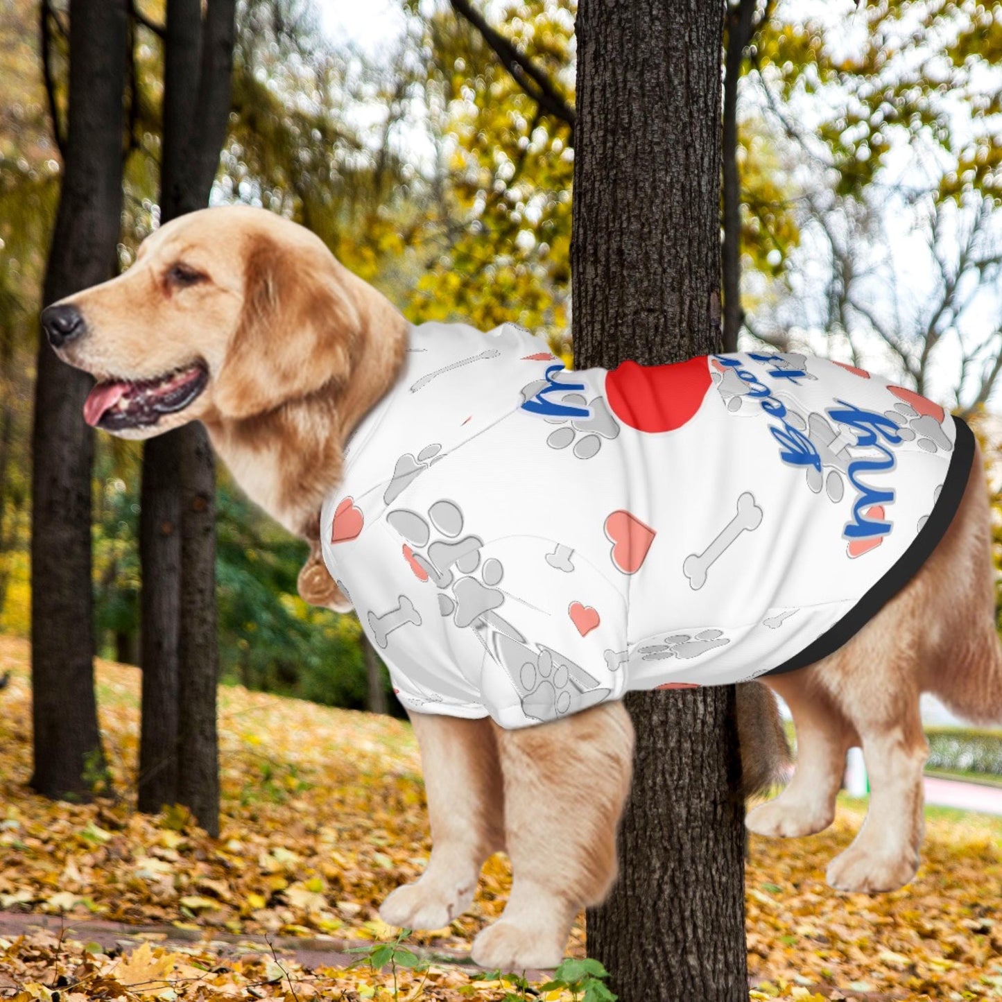 Ready for Park Fashion, Dog Hoodie, My Heart Belongs to My Human, White with Grey Hearts, Great Gift for Fathers Day