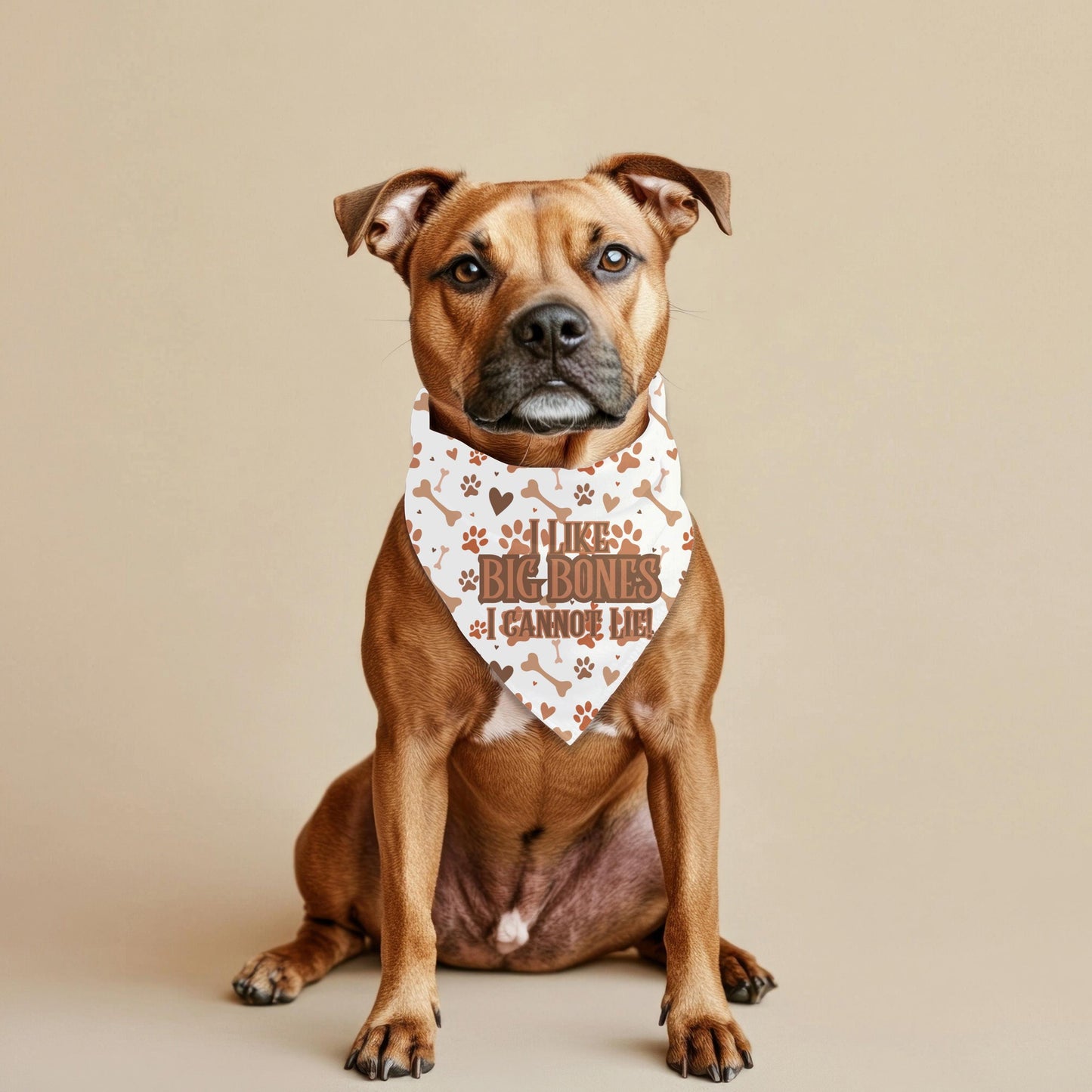 I like Big Bones, I cannot Lie. Large Dog Bandana, Reversible to Treats Welcome, Custom Dog Bandana, Perfect for Dog Park Fun