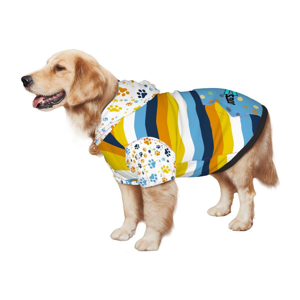 Unique Dog Hoodie with Aroace Pride Design, Dogs over Dating, Fun Cute Dog Outfit,  Great for Dog Park Outings