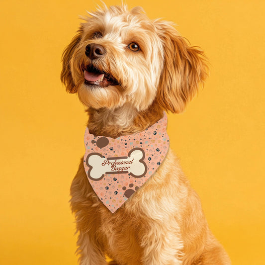 Funny Small Dog Bandana - Professional Beggar Design, Walking with My Paw-see fashion attire for the  Village, getting a Pup Cup, Must Have