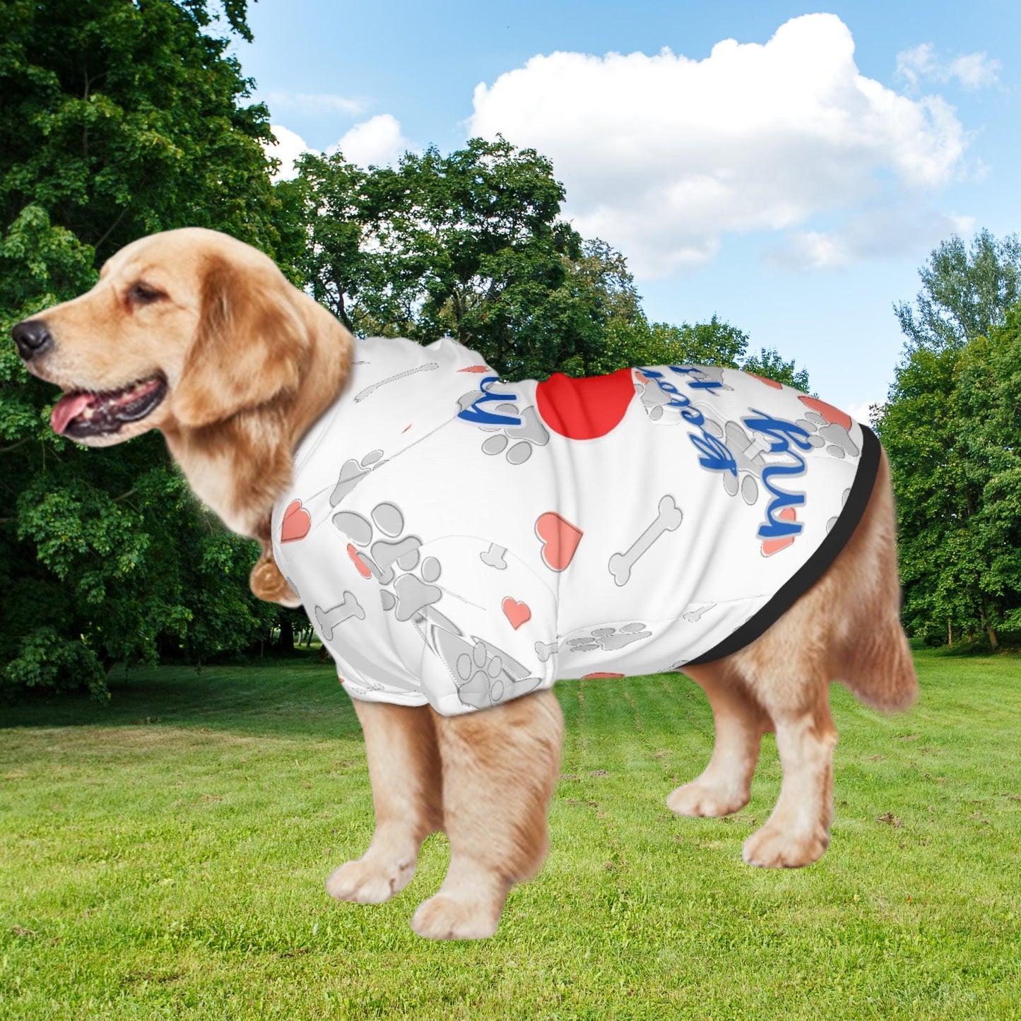 Ready for Park Fashion, Dog Hoodie, My Heart Belongs to My Human, White with Grey Hearts, Great Gift for Fathers Day