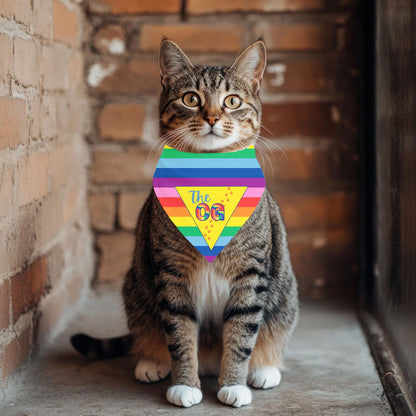 Show Your Cat Pride with this Pride Flag Cat Bandana, Reversible Pet Neckwear, Has the OG Gay Flag for the OG Cat, a Cat Fashionista Must