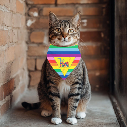 Show Your Cat Pride with this Pride Flag Cat Bandana, Reversible Pet Neckwear, Has the OG Gay Flag for the OG Cat, a Cat Fashionista Must