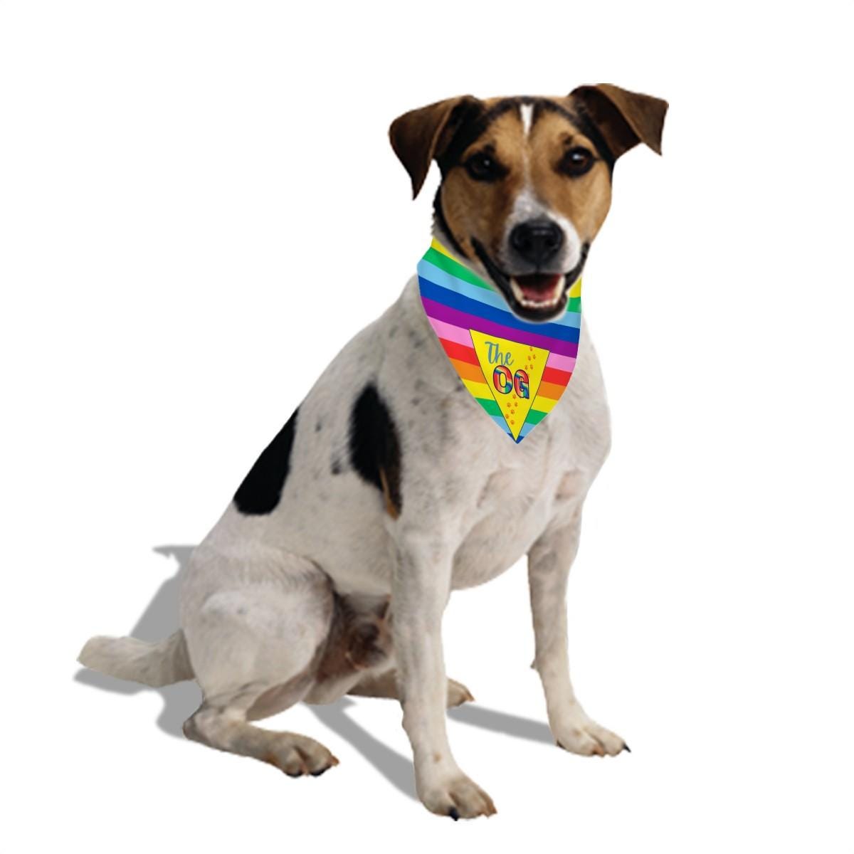 OG Pride Flag for the OG Dog, Rainbow Hearts Dog Bandana for Large Breeds, LGBTQ Pride, Awesome Bandana for an Awesome Dog to Show Off