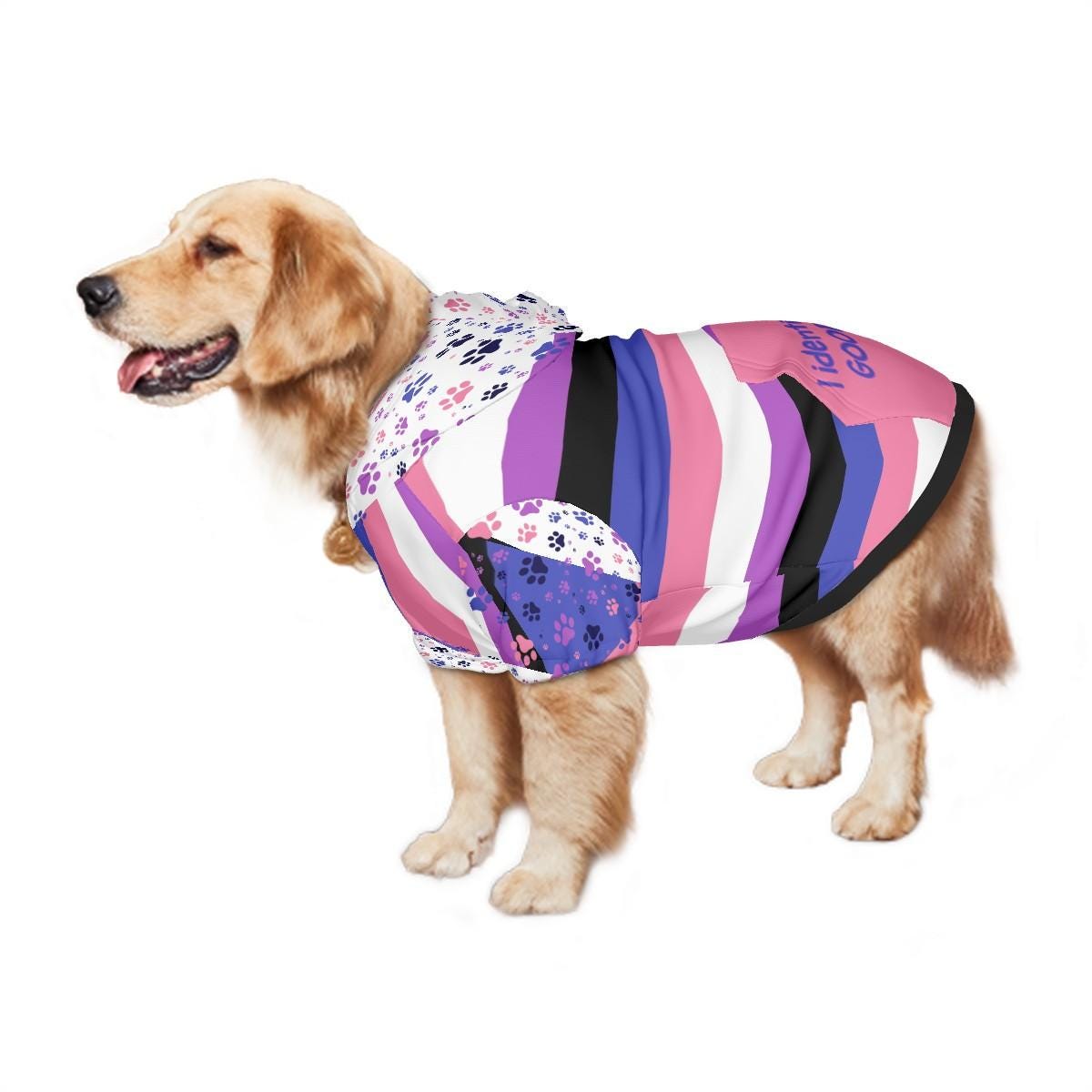 I Identify as a Good Dog Custom Hoodie, Gender Fluid Flag, Fathers Day Pride Gift, Mothers Day Gift, LGBTQ Family Gift