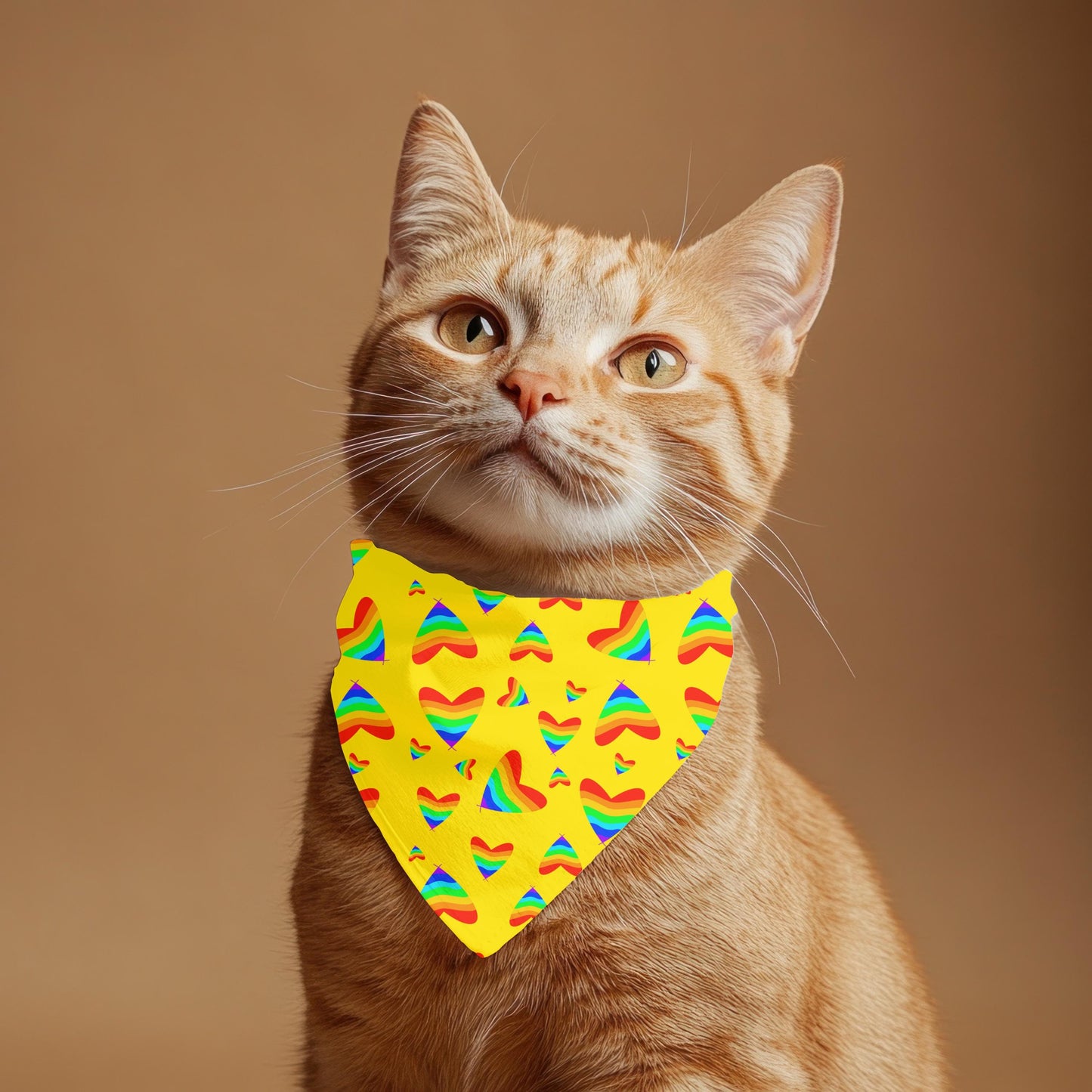 LGBTQ Pride Cat Scarf - Reversible Heart Design