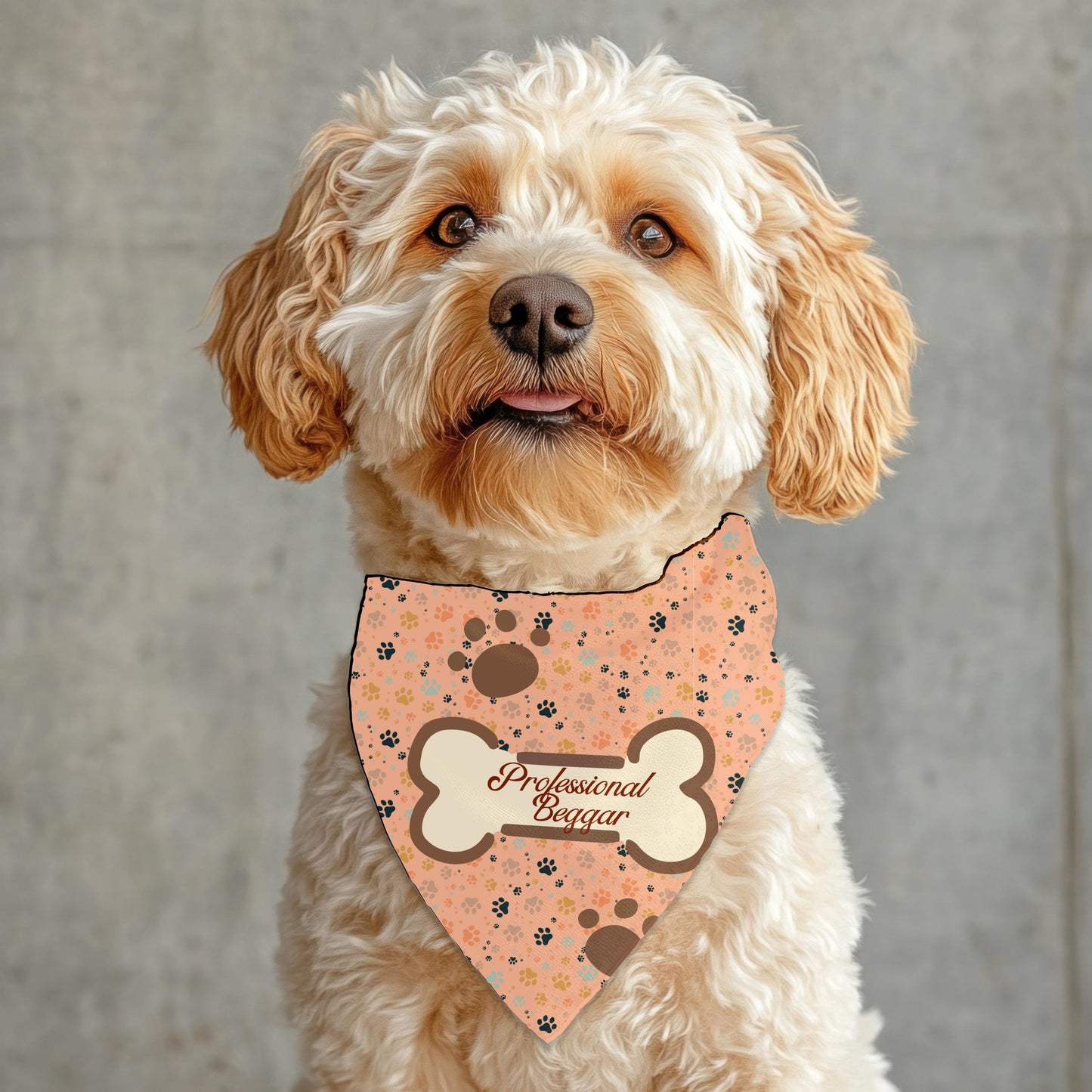 Funny Small Dog Bandana - Professional Beggar Design, Walking with My Paw-see fashion attire for the  Village, getting a Pup Cup, Must Have