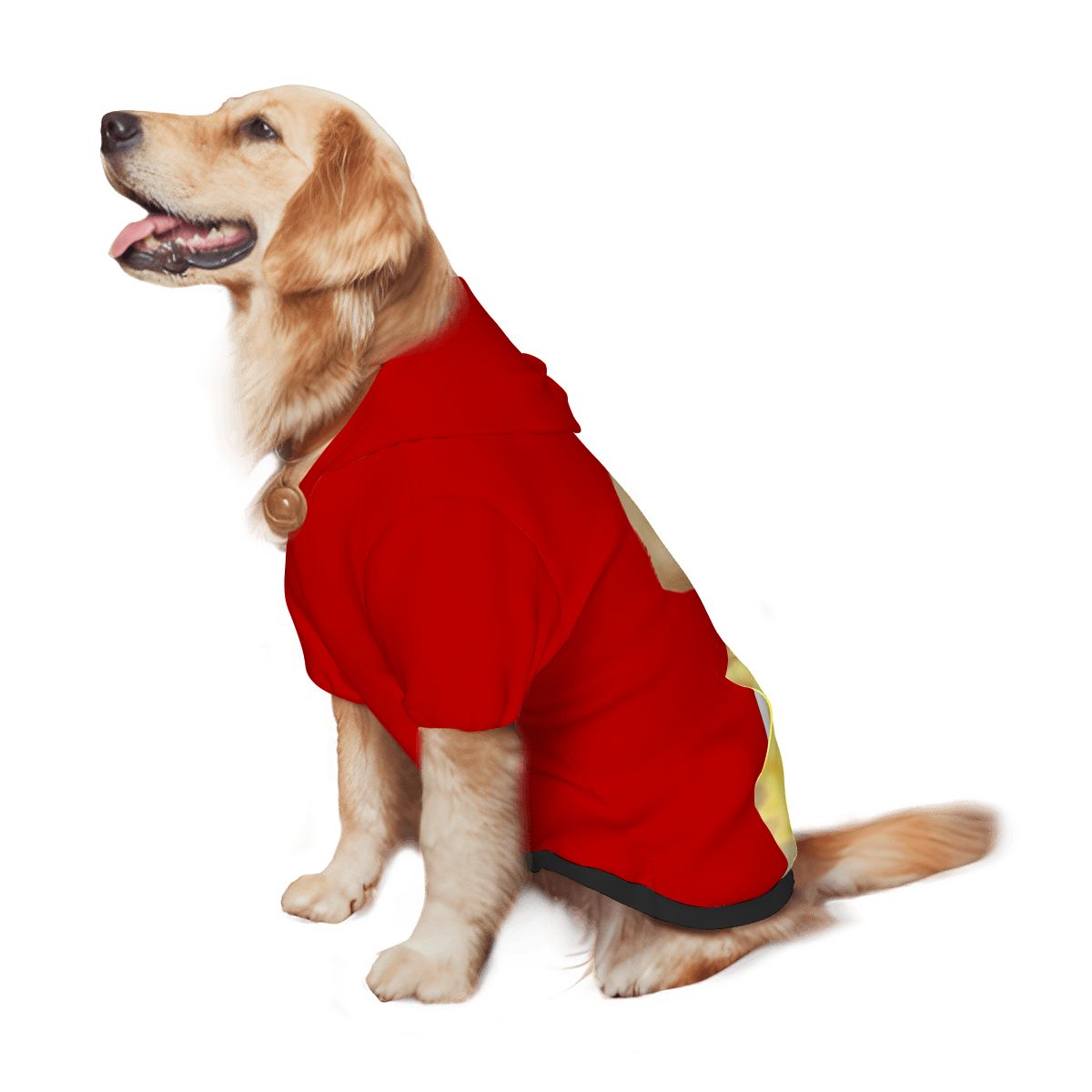 Po Teletubbies Red Dog Costume - Custom Pet Cosplay Attire, Halloween or Everyday Play, Retro dog Outfit