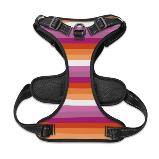 Lesbian Pride Flag Dog & Cat Harness for Leash Walks