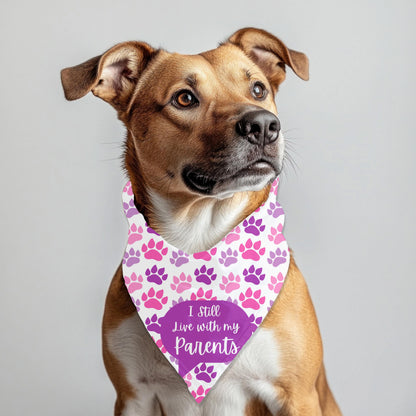 I Still Live with my Parents Small Dog bandana, Why Leave, They Feed Me on the Reversed Side, Pink and Purple Bandana, Perfect for Outings