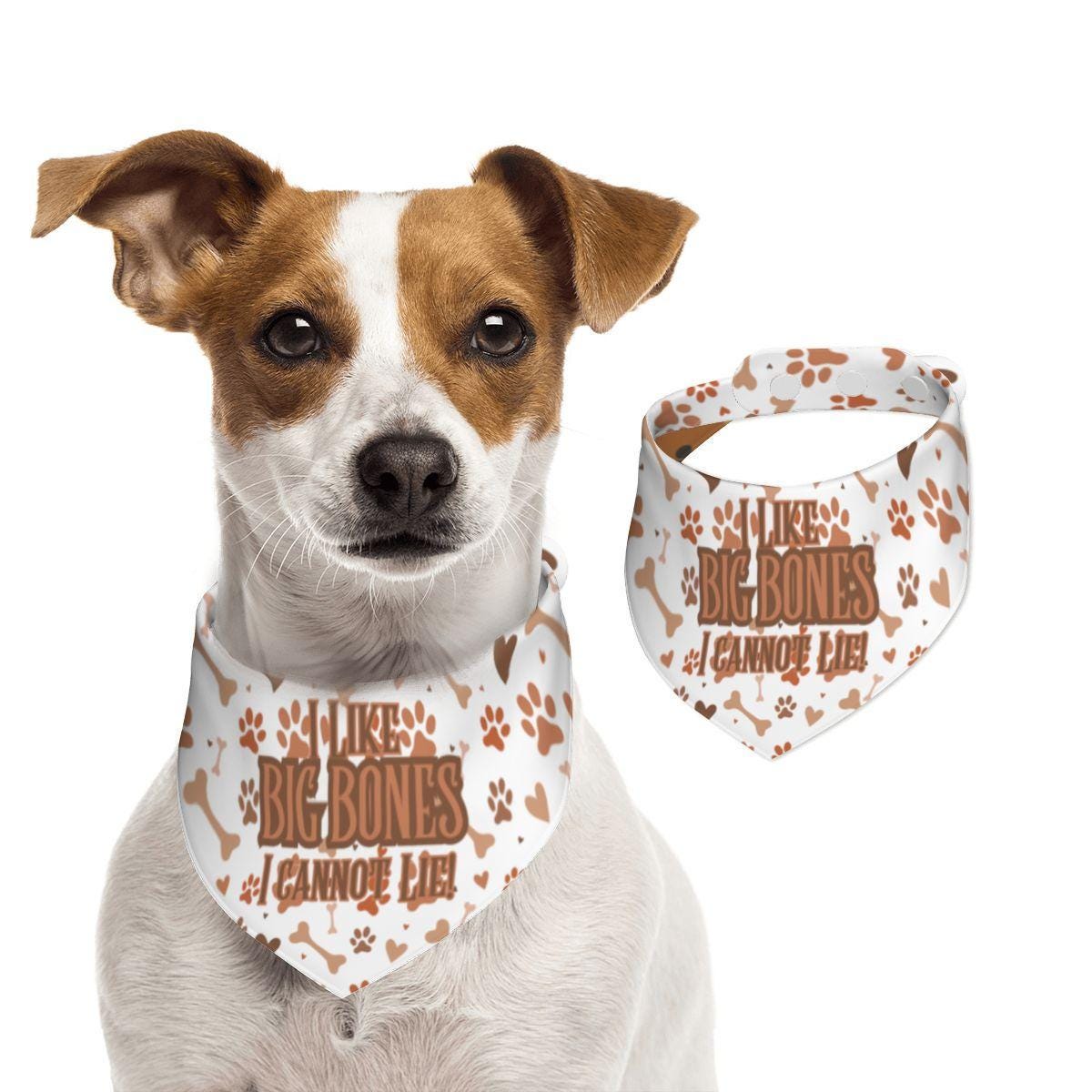 No Lying, I like Big Bones I Cannot Lie Cute Small Dog Bandana, Features Reversible to Treats Welcome, Perfect for Walks to the Cafe