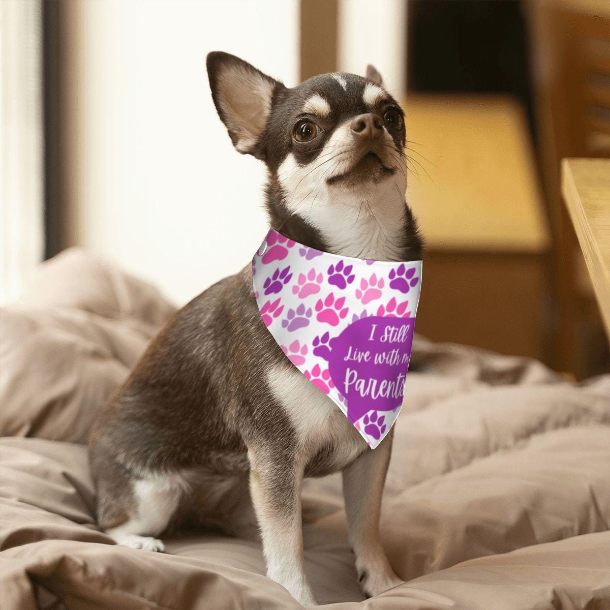 I Still Live with my Parents Small Dog bandana, Why Leave, They Feed Me on the Reversed Side, Pink and Purple Bandana, Perfect for Outings