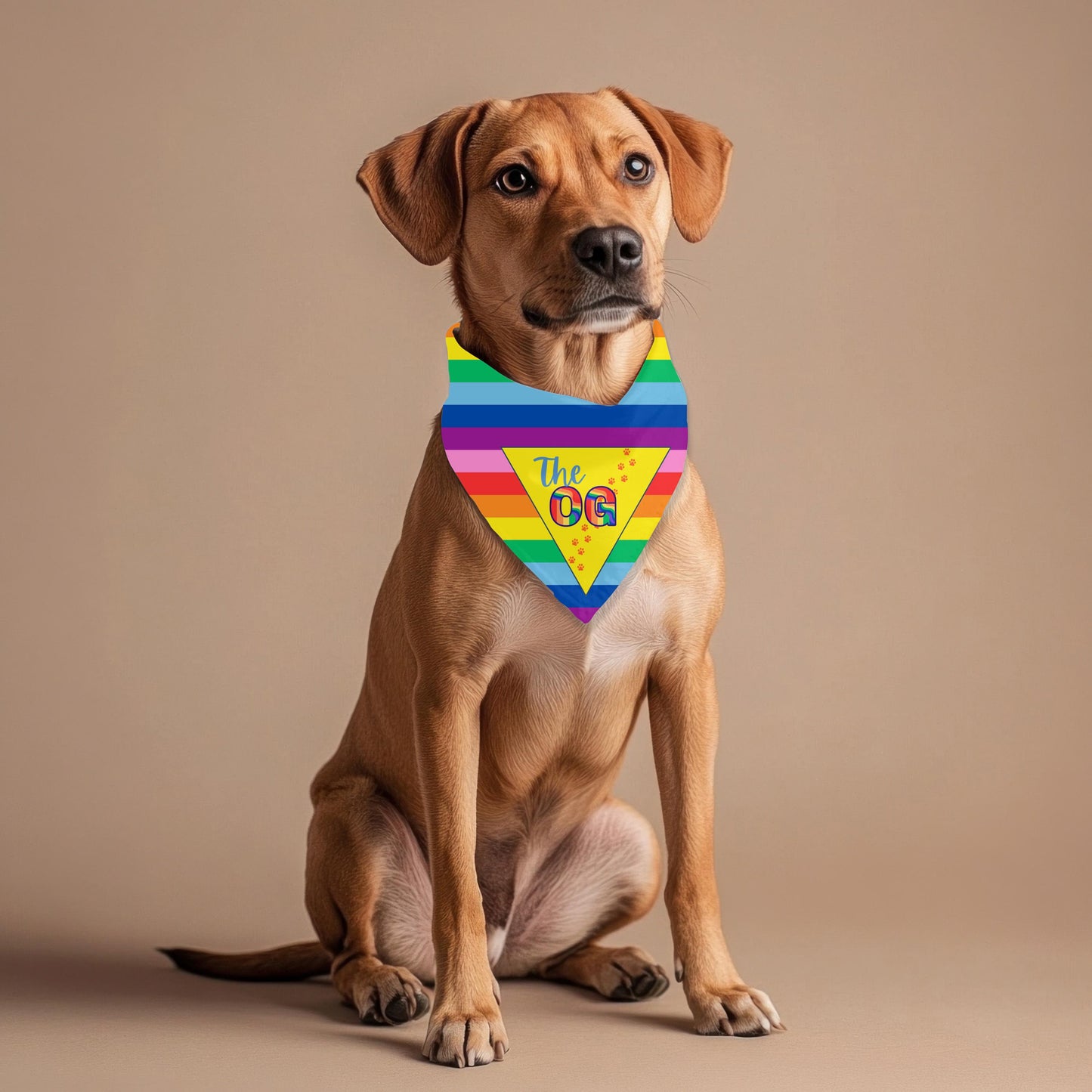OG Pride Flag for the OG Dog, Rainbow Hearts Dog Bandana for Large Breeds, LGBTQ Pride, Awesome Bandana for an Awesome Dog to Show Off