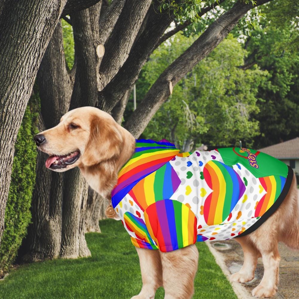 Stay Pawsitive Pride Dog Hoodie - Green Rainbow Hearts Pet Sweater, LGBTQ Dog Sweater, Dog Lovers Gift, Mothers Day Gift, Fathers Day gift
