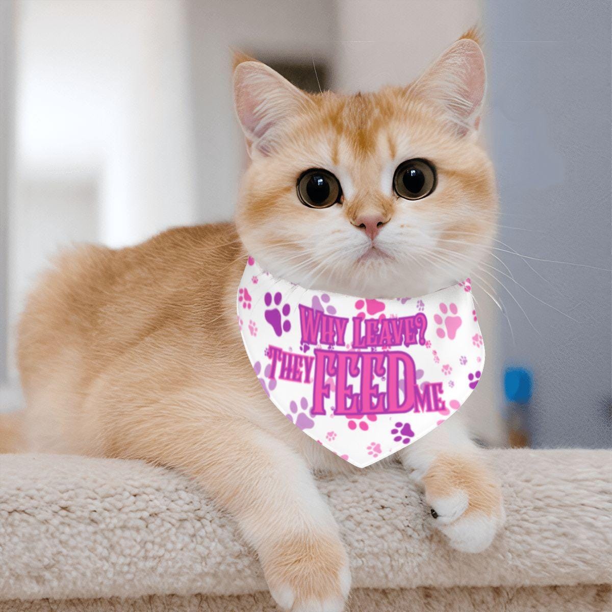 I Still Live With My Parents, They Feed Me, Pink and Purple Paws Cat Bandana - Fun Pet Neckwear, Fashionable Cat Wear,