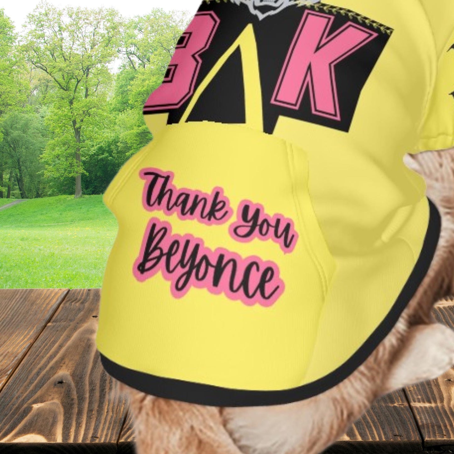 Thank You Beyonce Fashionable Yellow Hoodie Designed for Your Dog and Her next Concert Attire, Designed Yellow Hoodie of Beyonces