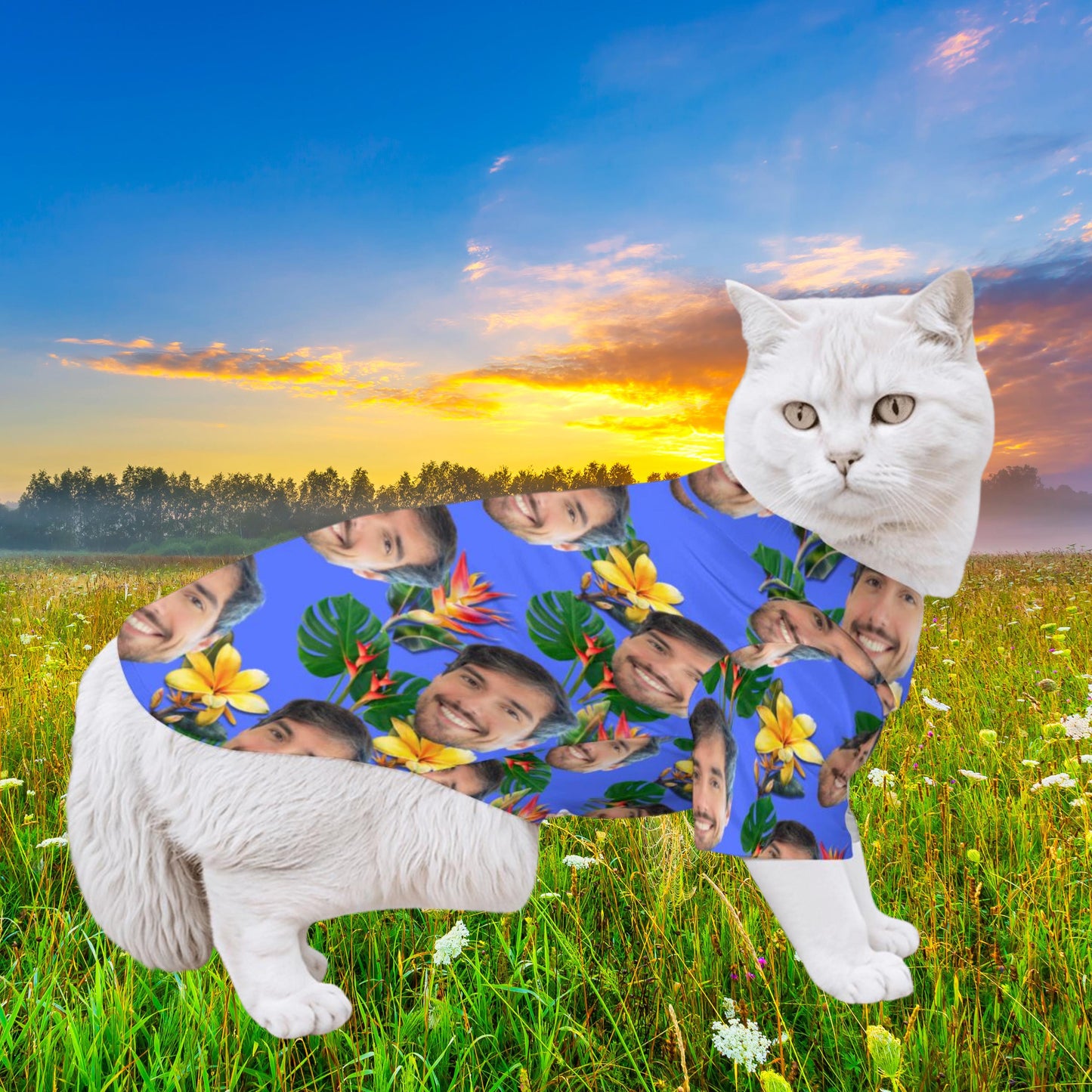 Custom Photo Print Hawaiian Shirt Set for Pet and Owner - Matching Outfits for Human and their BFF Pets, Stylish, Fashionable, Fun