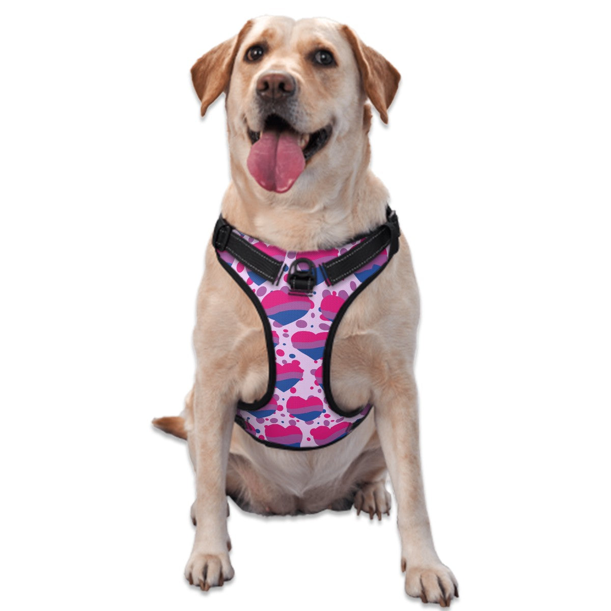 Bisexual Flag Design, Pride Fashion Dog & Cat Harness - Several Sizes, Comfortable & Stylish