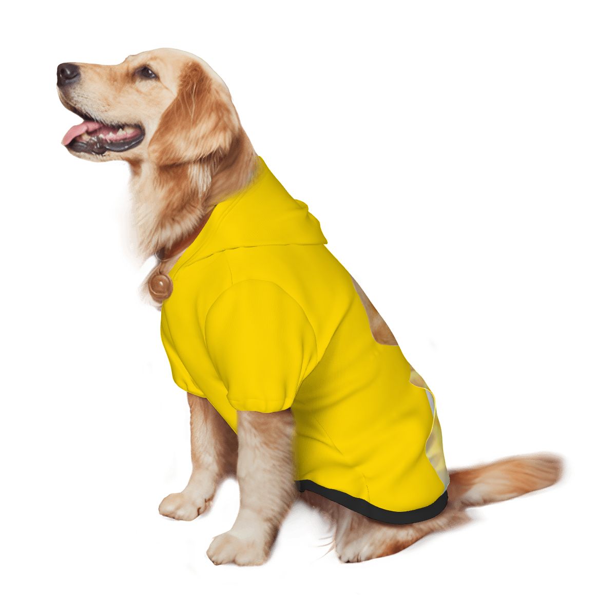 Laa Laa Inspired Dog Costume - Teletubbies Yellow Hoodie, Retro Teletubby Shirt, Halloween or Everyday Cosplay, La La is Fun