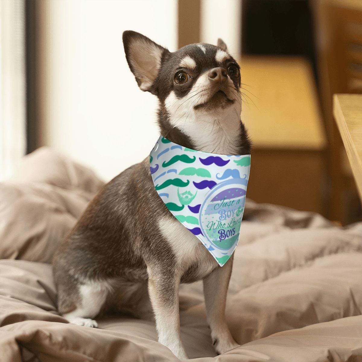 Small Dog Gay Pride Flag for Boys Who Love Boys, Fun Bandana to Wear to Pride and the Dog Park, Fashionable, Boys Who Love Boys Fashion