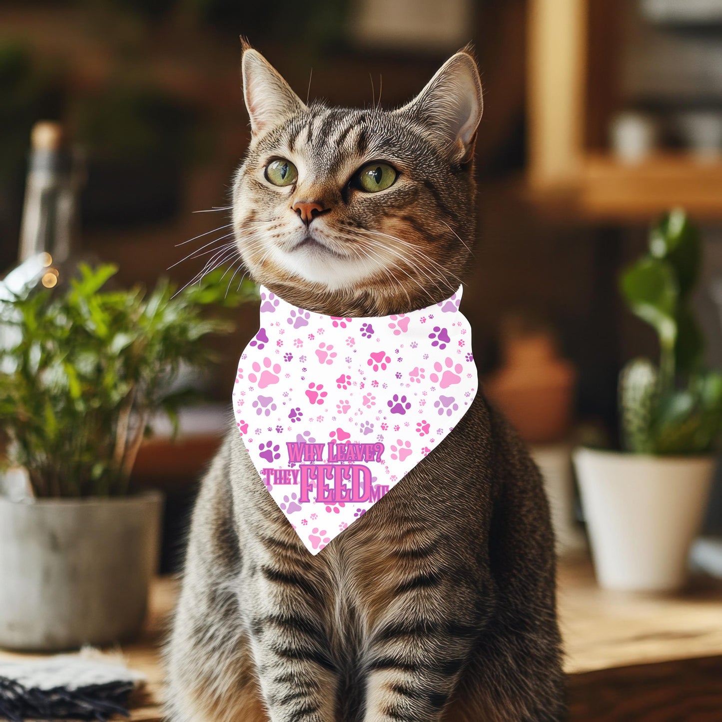 I Still Live With My Parents, They Feed Me, Pink and Purple Paws Cat Bandana - Fun Pet Neckwear, Fashionable Cat Wear,
