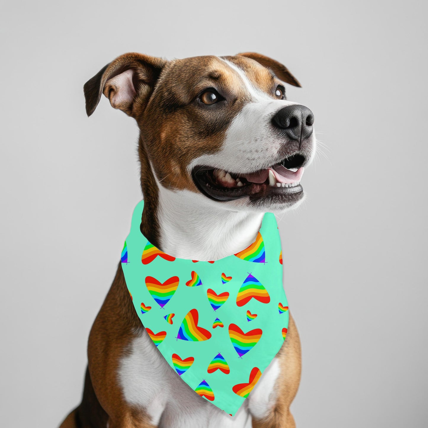 Dog Hair Don't Care Bandana for Small Dogs, Pet Neckwear, Reversible Dog Bandana, Great for Walks to the Groomer