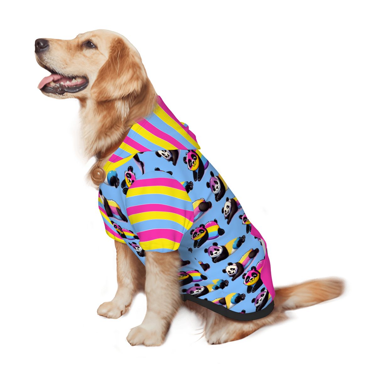 Adorable Panda Dog Hoodie, Celebrate Pride with Pan Sexual Theme Pet Outfit