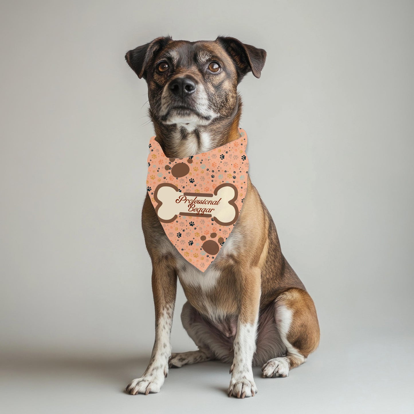 Funny Dog Bandana for Professional Beggars - Walking with Your Pawsee, Large Dog Bandna fashion wear for the best dogs around