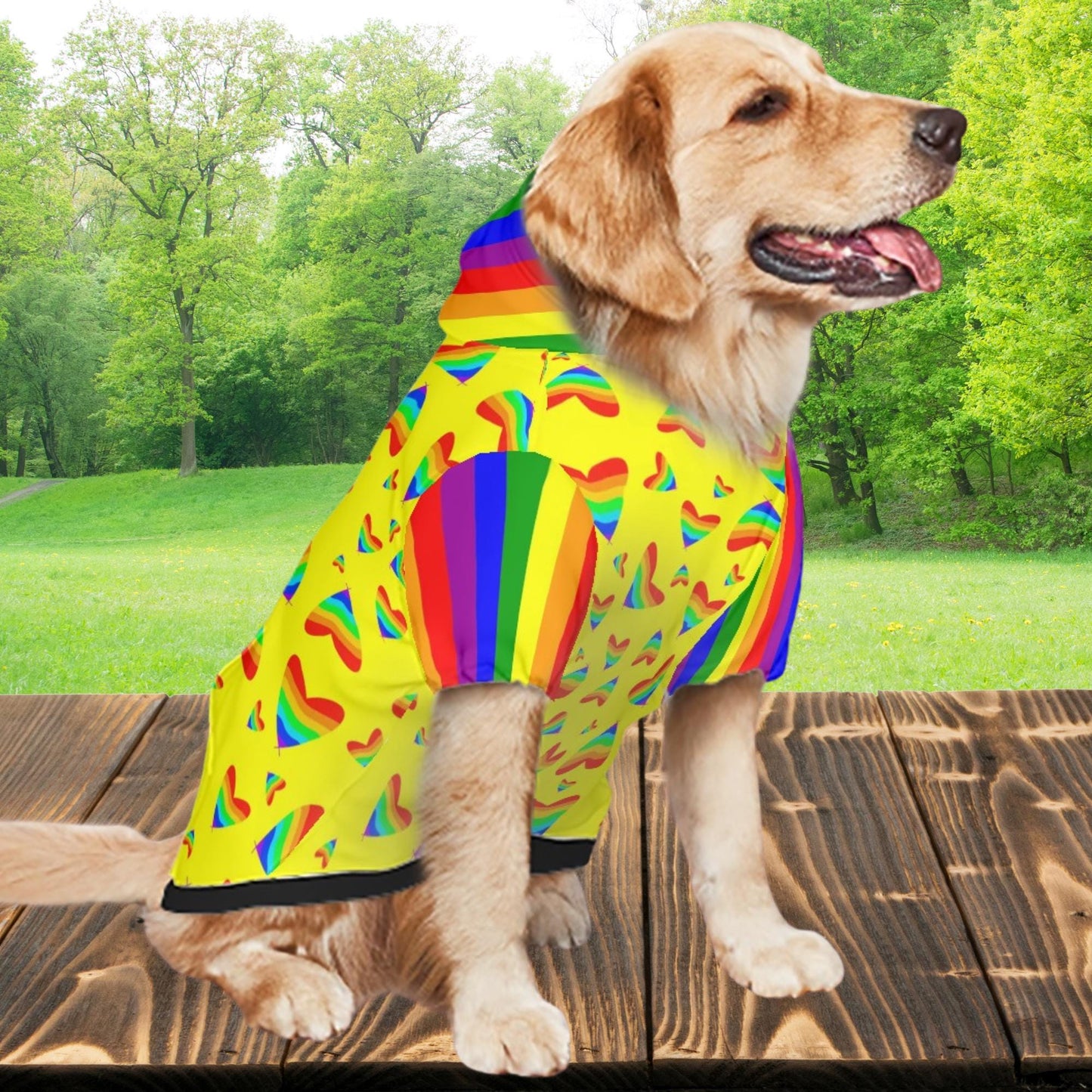 Love is Love Dog Hoodie with Pride Hearts in Rainbow Colors, Perfect gift for Dog Lover Friendd, Great for PRIDE PARADE